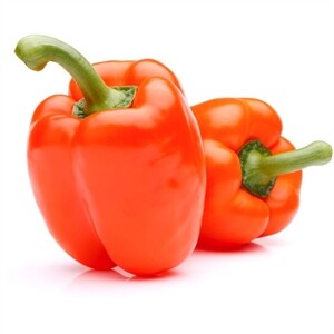Pepper Orange Holland