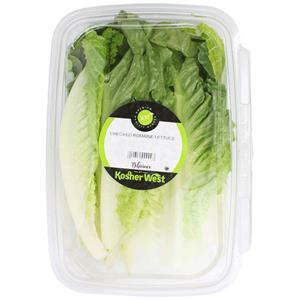 Checked Romaine Lettuce-Kosher West